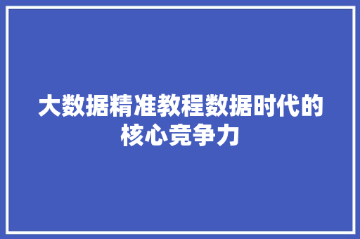 大数据精准教程数据时代的核心竞争力  第1张