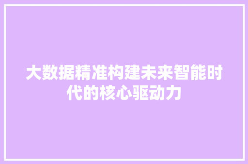 大数据精准构建未来智能时代的核心驱动力  第1张
