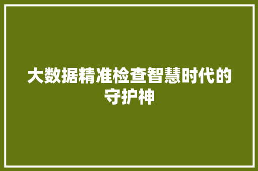 大数据精准检查智慧时代的守护神