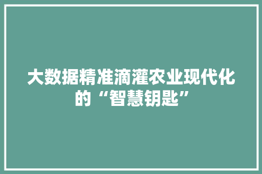 大数据精准滴灌农业现代化的“智慧钥匙”