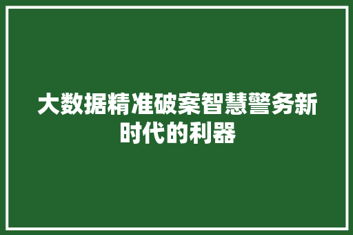 大数据精准破案智慧警务新时代的利器