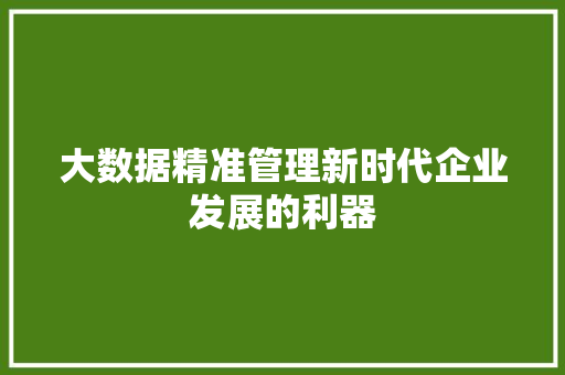 大数据精准管理新时代企业发展的利器  第1张