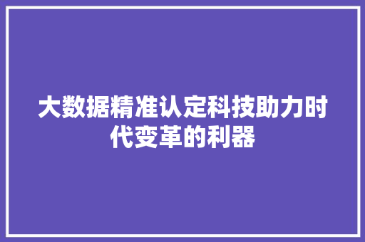 大数据精准认定科技助力时代变革的利器  第1张