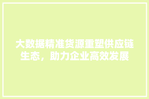 大数据精准货源重塑供应链生态，助力企业高效发展
