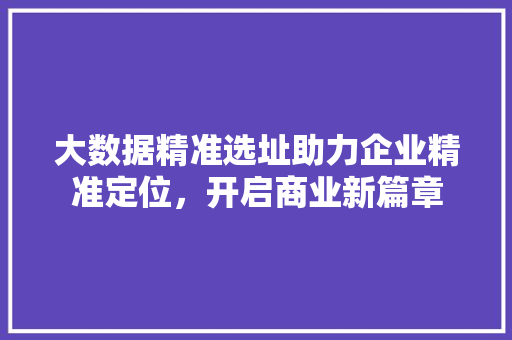 大数据精准选址助力企业精准定位，开启商业新篇章  第1张