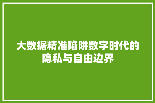 大数据精准陷阱数字时代的隐私与自由边界  第1张