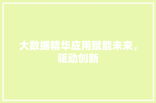 大数据精华应用赋能未来，驱动创新  第1张