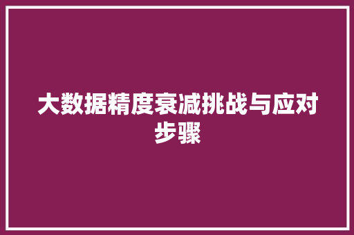大数据精度衰减挑战与应对步骤