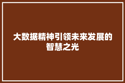 大数据精神引领未来发展的智慧之光