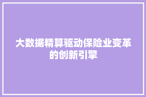 大数据精算驱动保险业变革的创新引擎