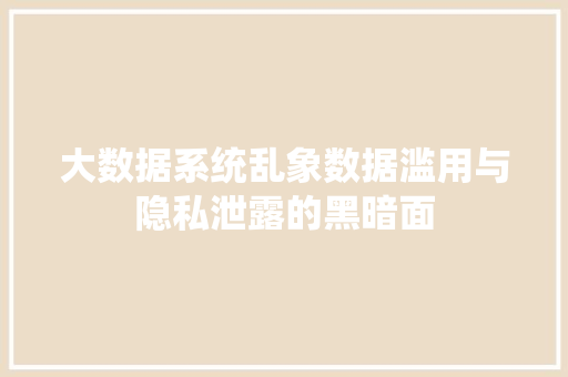 大数据系统乱象数据滥用与隐私泄露的黑暗面