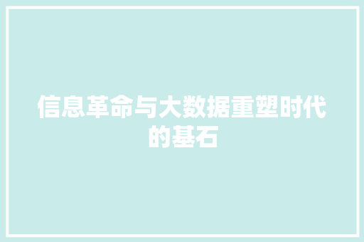信息革命与大数据重塑时代的基石