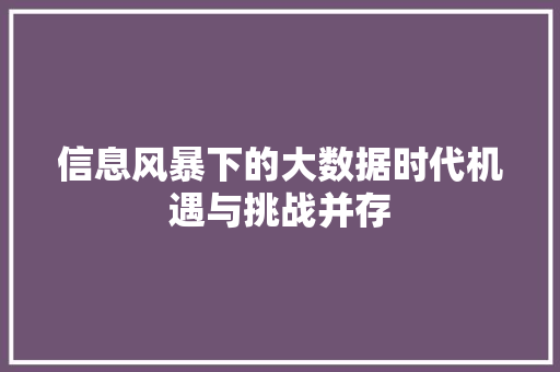 信息风暴下的大数据时代机遇与挑战并存