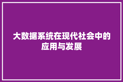 大数据系统在现代社会中的应用与发展