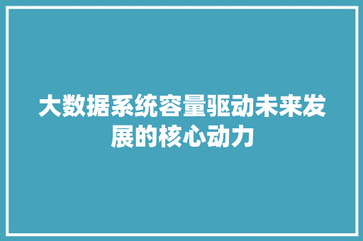 大数据系统容量驱动未来发展的核心动力
