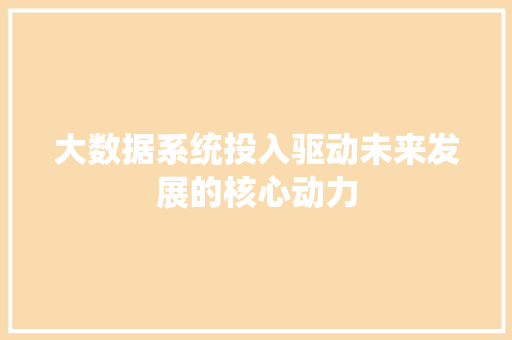大数据系统投入驱动未来发展的核心动力