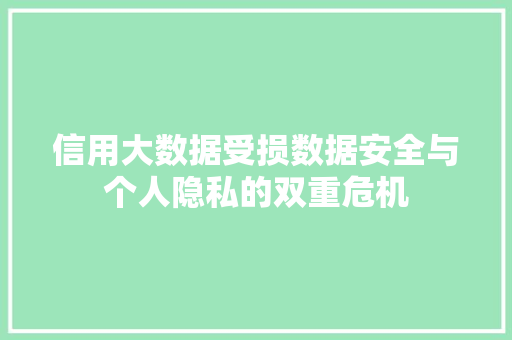 信用大数据受损数据安全与个人隐私的双重危机  第1张