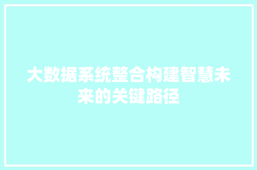 大数据系统整合构建智慧未来的关键路径