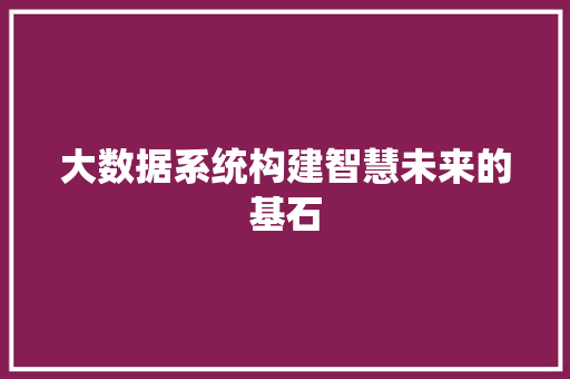 大数据系统构建智慧未来的基石  第1张