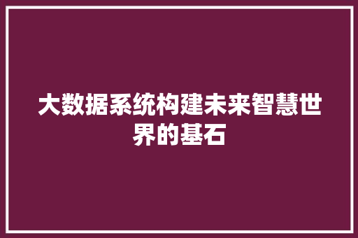 大数据系统构建未来智慧世界的基石  第1张