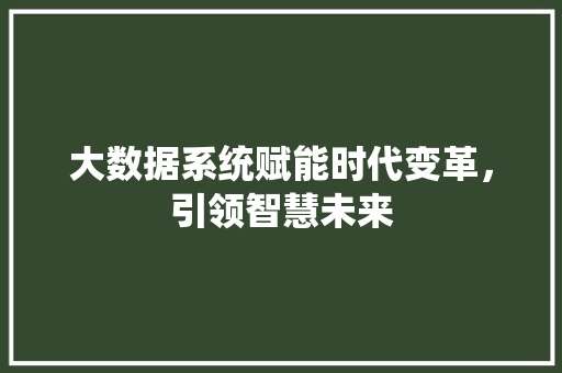 大数据系统赋能时代变革，引领智慧未来  第1张