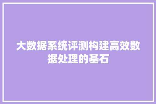 大数据系统评测构建高效数据处理的基石  第1张