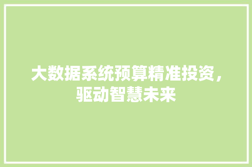 大数据系统预算精准投资，驱动智慧未来