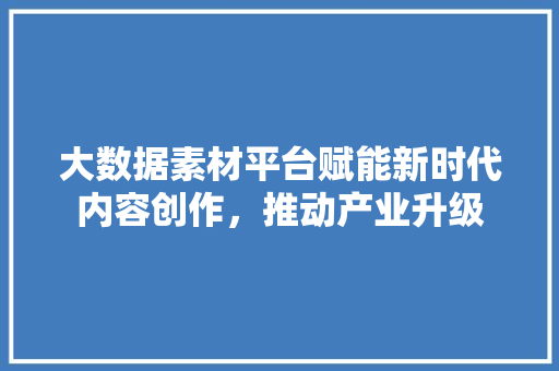 大数据素材平台赋能新时代内容创作，推动产业升级