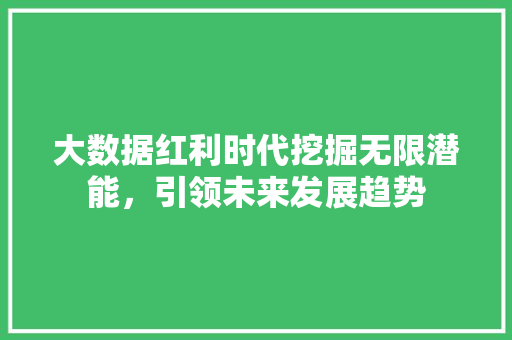 大数据红利时代挖掘无限潜能，引领未来发展趋势