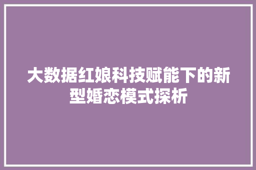 大数据红娘科技赋能下的新型婚恋模式探析