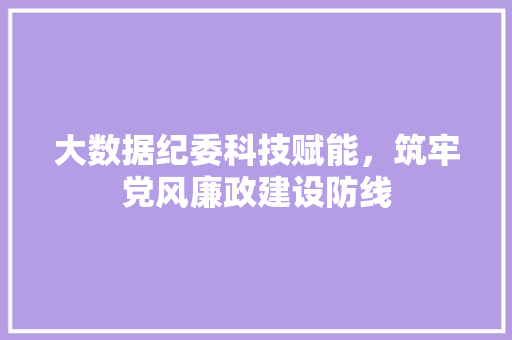 大数据纪委科技赋能，筑牢党风廉政建设防线  第1张