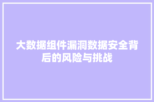 大数据组件漏洞数据安全背后的风险与挑战