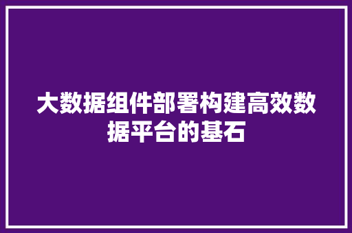 大数据组件部署构建高效数据平台的基石