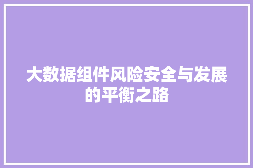 大数据组件风险安全与发展的平衡之路  第1张
