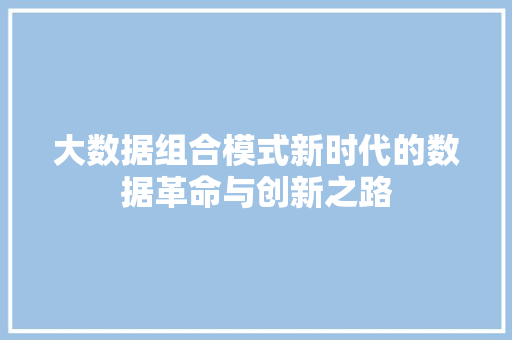 大数据组合模式新时代的数据革命与创新之路