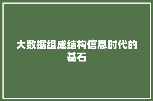 大数据组成结构信息时代的基石  第1张