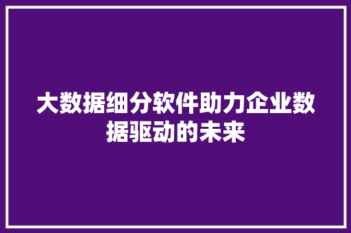 大数据细分软件助力企业数据驱动的未来