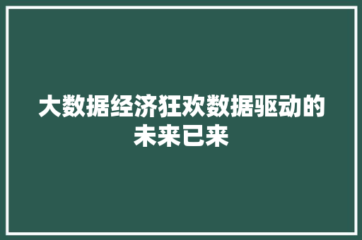 大数据经济狂欢数据驱动的未来已来  第1张