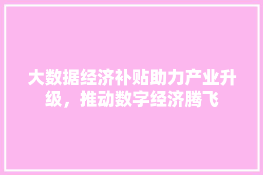 大数据经济补贴助力产业升级，推动数字经济腾飞