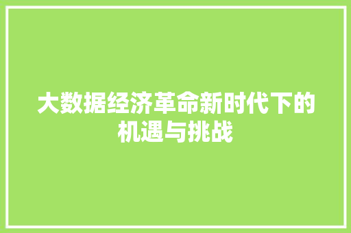 大数据经济革命新时代下的机遇与挑战  第1张