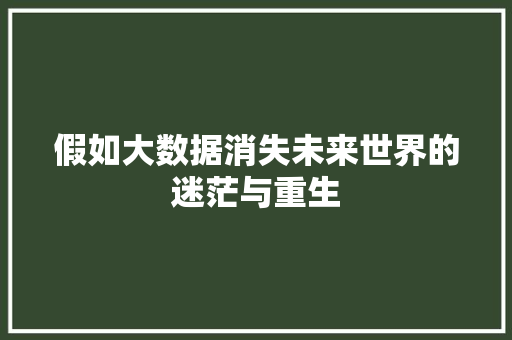 假如大数据消失未来世界的迷茫与重生