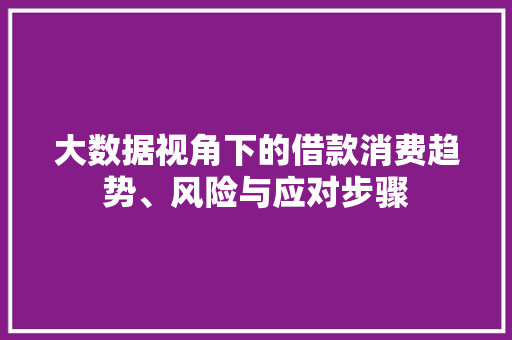 大数据视角下的借款消费趋势、风险与应对步骤