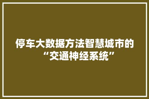 停车大数据方法智慧城市的“交通神经系统”  第1张