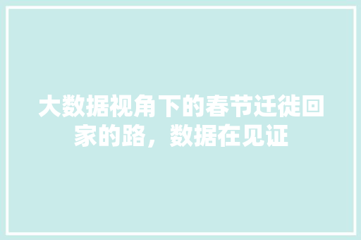 大数据视角下的春节迁徙回家的路，数据在见证  第1张