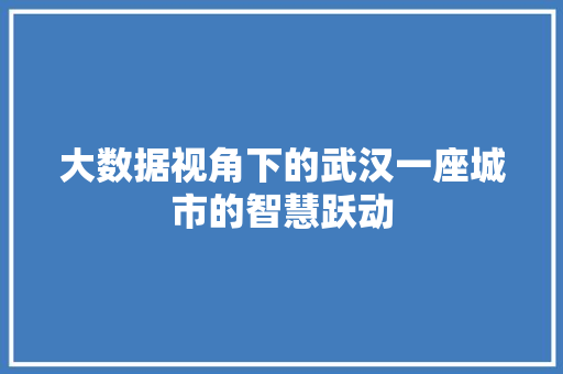 大数据视角下的武汉一座城市的智慧跃动  第1张