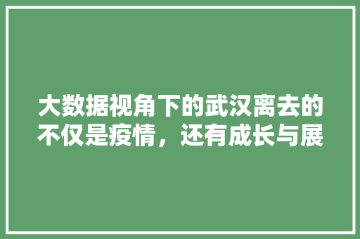 大数据视角下的武汉离去的不仅是疫情，还有成长与展望  第1张