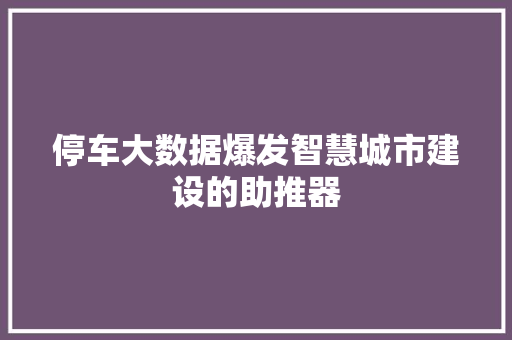 停车大数据爆发智慧城市建设的助推器  第1张
