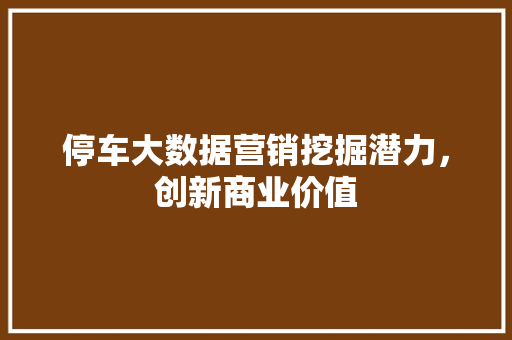 停车大数据营销挖掘潜力，创新商业价值  第1张
