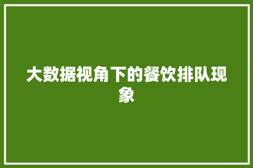 大数据视角下的餐饮排队现象  第1张