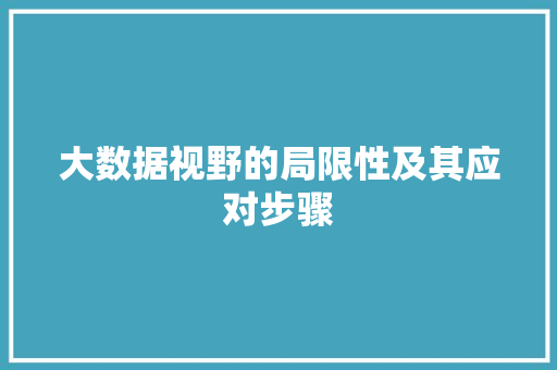 大数据视野的局限性及其应对步骤
